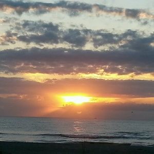 Meet your Posher, Kara